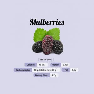 Mulberry promotional template