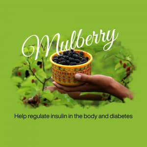 Mulberry promotional poster