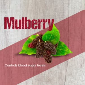 Mulberry promotional post