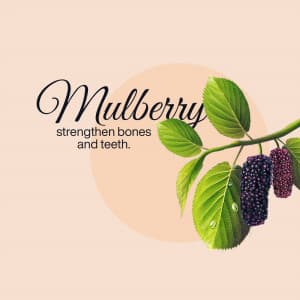 Mulberry facebook banner