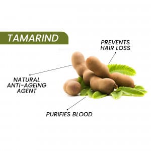 Tamarind promotional images