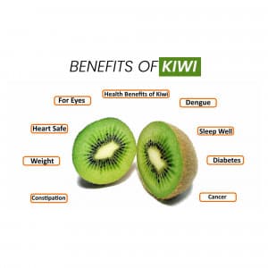 Kiwi promotional images