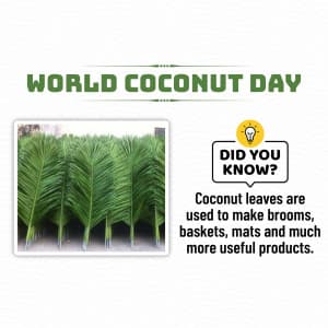 World Coconut Day illustration