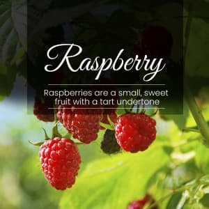 Raspberry instagram post