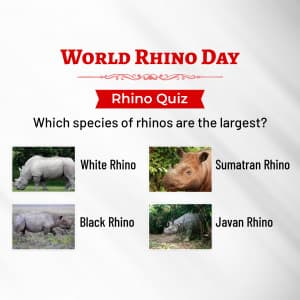 World Rhino Day greeting image