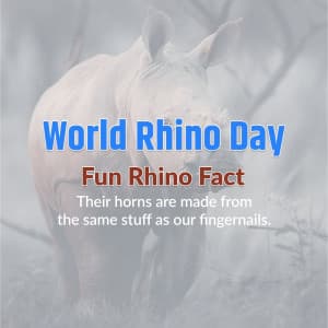 World Rhino Day Instagram Post