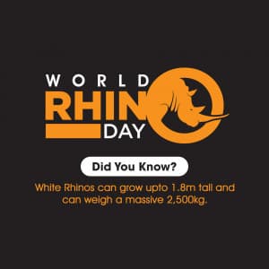 World Rhino Day flyer