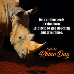 World Rhino Day post