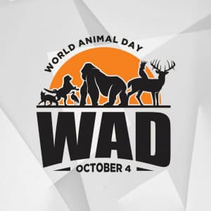 World Animal Day greeting image