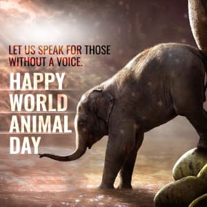 World Animal Day image