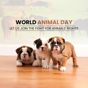 World Animal Day banner