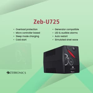 Zebronics business image