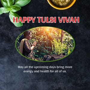 Tulsi Vivah graphic