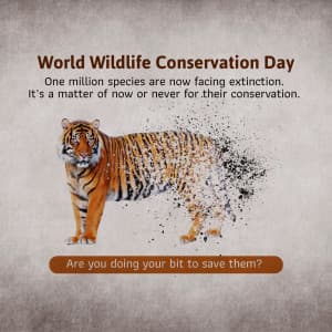 Wildlife Conservation Day ad post