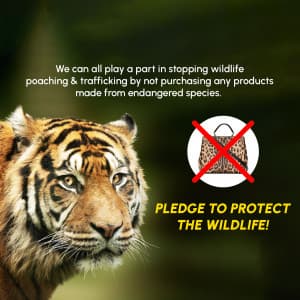 Wildlife Conservation Day greeting image
