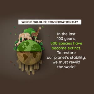 Wildlife Conservation Day marketing poster