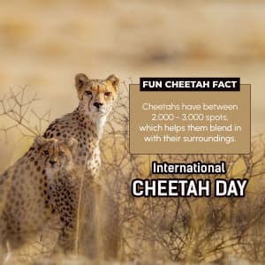 International Cheetah Day advertisement banner