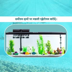 Aquarium marketing post