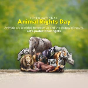 International Animal Rights Day marketing poster