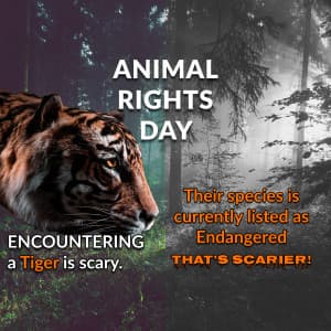 International Animal Rights Day Instagram Post