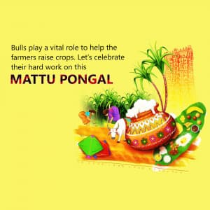 Happy Pongal advertisement banner