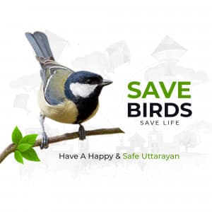 Save Birds post