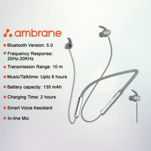 Ambrane business flyer