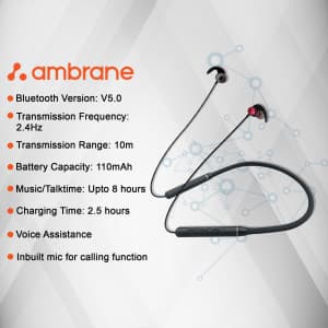 Ambrane business template
