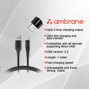 Ambrane business post