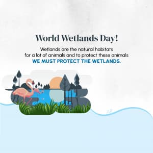 World Wetlands day ad post