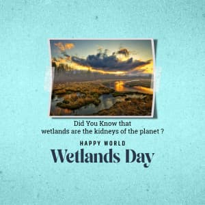 World Wetlands day marketing poster