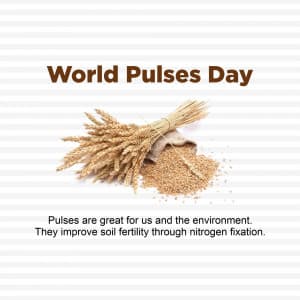 World Pulses day marketing flyer