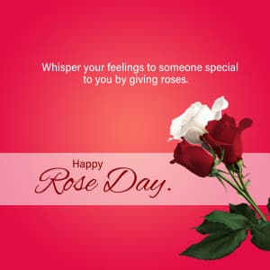 Rose Day festival image