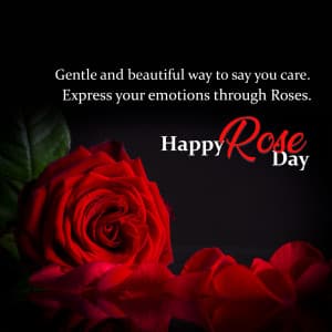 Rose Day whatsapp status poster