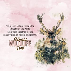 World Wildlife Day advertisement banner