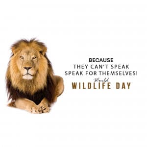 World Wildlife Day marketing poster