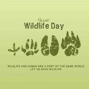 World Wildlife Day graphic