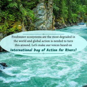 International Day of Action for Rivers whatsapp status poster