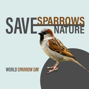 World Sparrow Day festival image