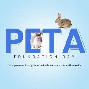 Peta Foundation Day marketing poster