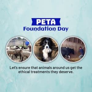 Peta Foundation Day Facebook Poster