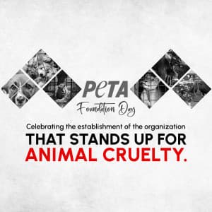 Peta Foundation Day Instagram Post