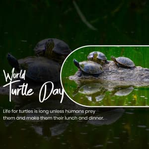World Turtle Day advertisement banner