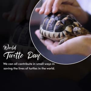World Turtle Day greeting image
