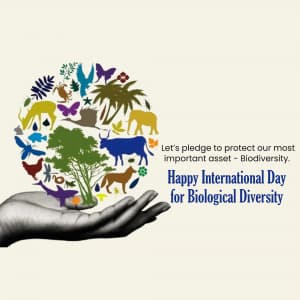 International Day for Biological Diversity marketing flyer