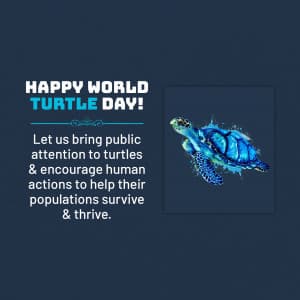 World Turtle Day marketing poster
