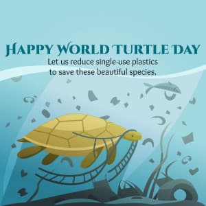 World Turtle Day marketing flyer