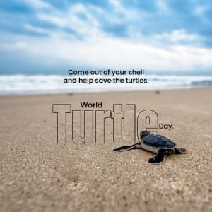 World Turtle Day creative image