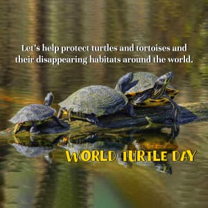 World Turtle Day Facebook Poster
