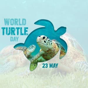World Turtle Day poster Maker